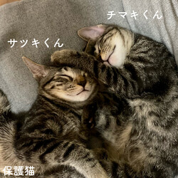初投稿