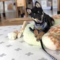 ホクト