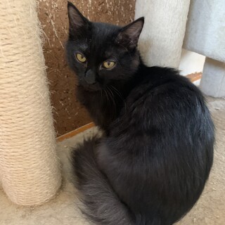 里親さま決まりました☆