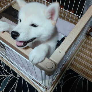 一度締め切らせて頂きます。