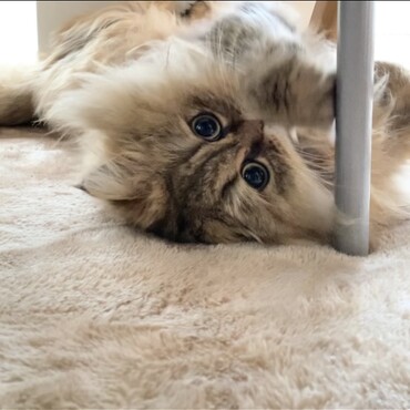 の写真