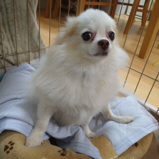 一旦募集ストップします