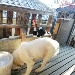 じーーーと見る