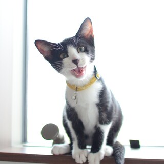 超絶ベタベタ男児のこんぶ君