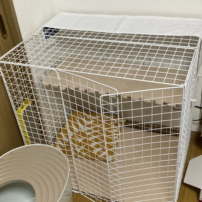 おいももなかのカバー写真