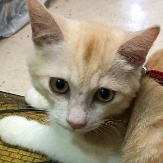 見た目女の子、元気の良いマーシャ君！