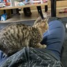 パンジーちゃん