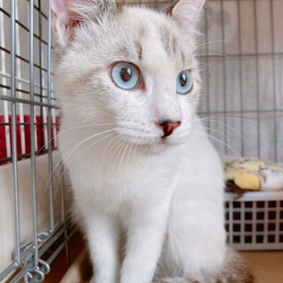 10/3西千葉ෆ⃛応募者多数の為募集ストップします