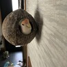 つかゆう