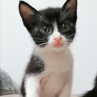 甘えたさんです