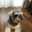 募集を停止中です