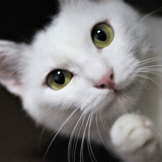 女優さんのような佇まい　美しいヅラママ