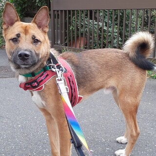 ダン「男の子」