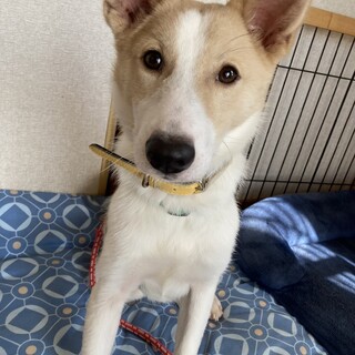 「ぱお」男の子