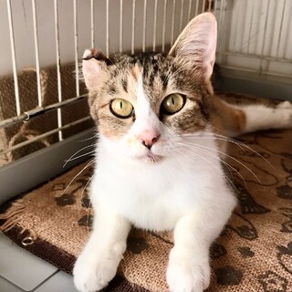 下半身麻痺だけど明るくフレンドリー