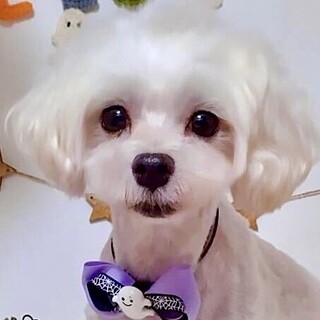 石狩（いしかり）まだまだシャイな控えめＢＯＹ