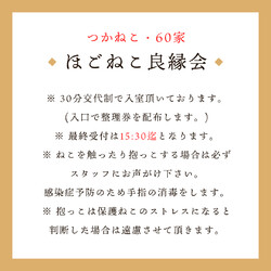 尼崎市『ほごねこ·ほごいぬ良縁会』 サムネイル3