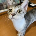 ★里親募集中★