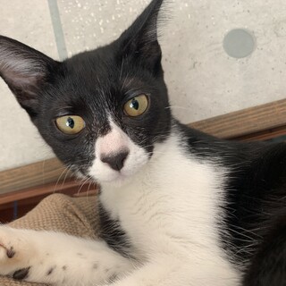 ★里親募集中★