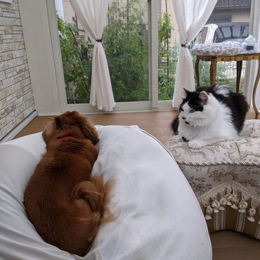 雨だね。。。。