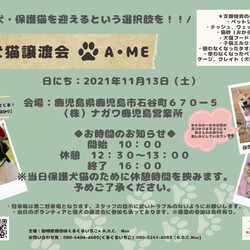 【鹿児島】犬猫譲渡会A・me