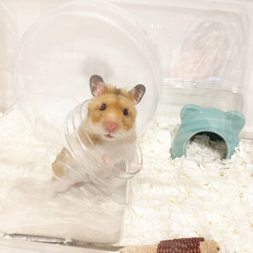 の写真