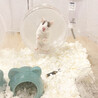 の写真
