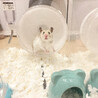 の写真
