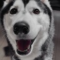 ☆ケア中の為募集停止となります。☆