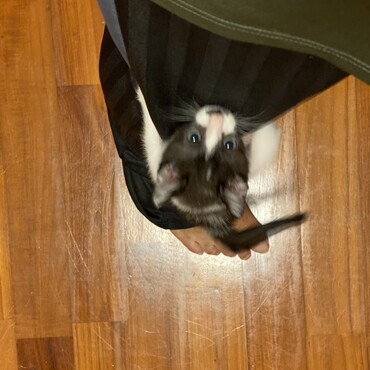 の写真