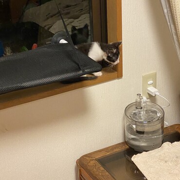 の写真