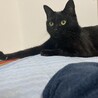 何故か、よく壁を押してます。今回はマウス
