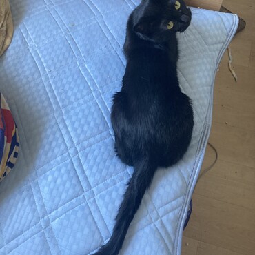 の写真