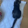 の写真