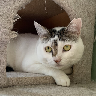 虐められても頑張って生きて来た女の子♡