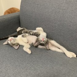 保護活動の原動力