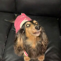 おっとり静かな「風香ちゃん」