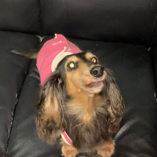おっとり静かな「風香ちゃん」