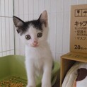 キュート過ぎる川ちゃん♡