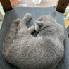 とっきんさん