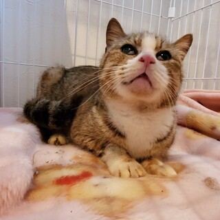 余生が穏やかに