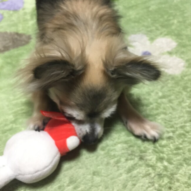 reku24karatsのカバー写真