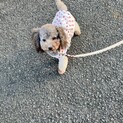 ありがとうございました