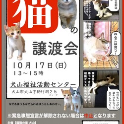 ねこの譲渡会＠犬山市福祉活動センター
