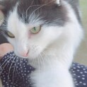白黒でホワホワの男の子