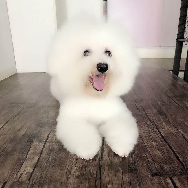 nonfuのカバー写真