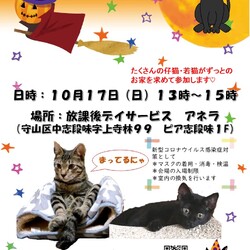 保護猫の譲渡会atアネラ