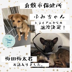 2021年10月4日の倉敷→全頭譲渡決定！