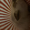 の写真