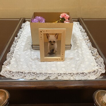 の写真